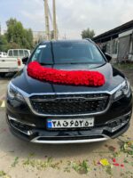 گل آرایی ماشین عروس کد 420