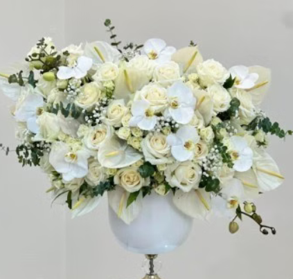 Screenshot 2025-12-02 033014